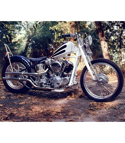 Amazon.com: Impact Posters Gallery Panhead Police Vintage